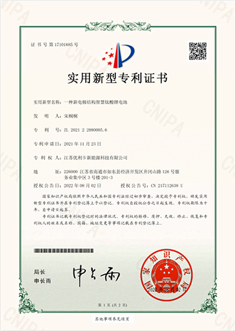一種新電極結(jié)構(gòu)智慧飲酸鋰電池